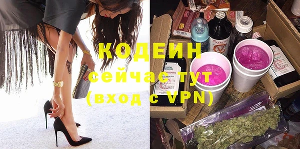 хмурый Арсеньев
