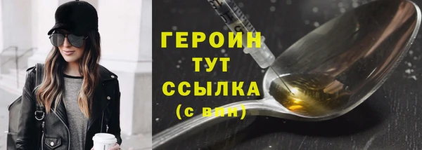 хмурый Арсеньев