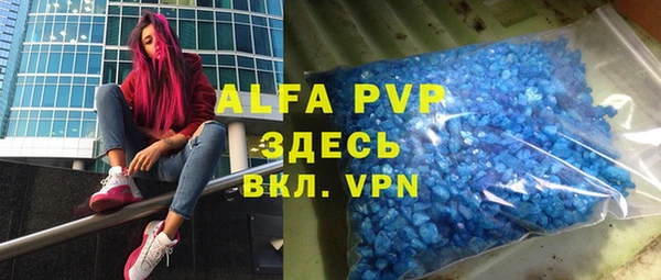 хмурый Арсеньев