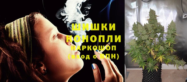 ГАЛЛЮЦИНОГЕННЫЕ ГРИБЫ Армянск