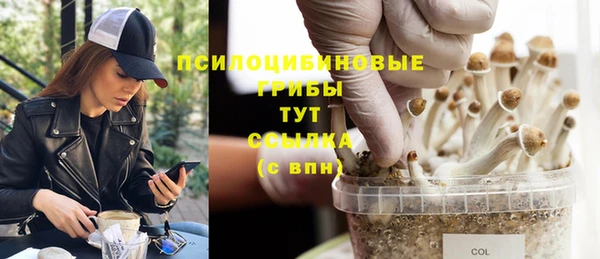 хмурый Арсеньев