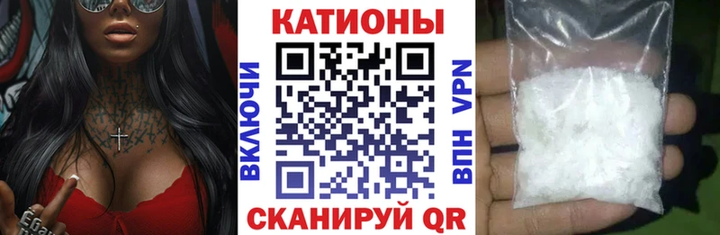 МЯУ-МЯУ мяу мяу  Приморско-Ахтарск 
